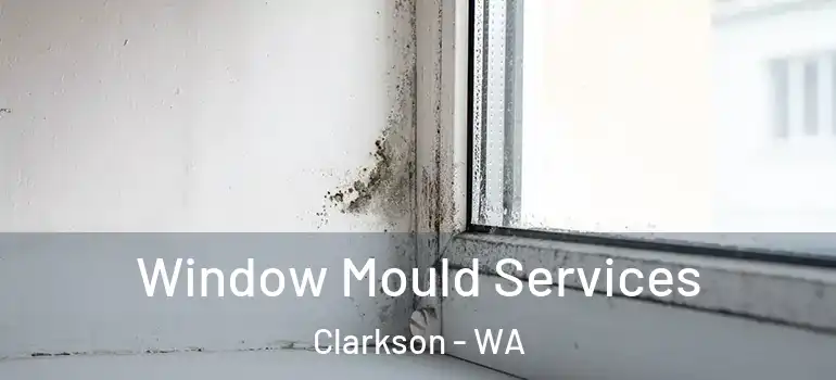 Window Mould Services Clarkson - WA