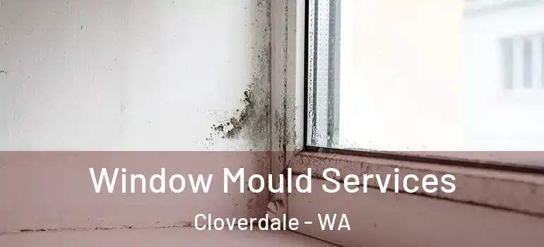  Window Mould Services Cloverdale - WA