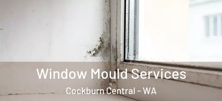  Window Mould Services Cockburn Central - WA
