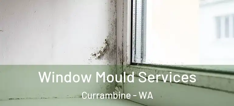 Window Mould Services Currambine - WA