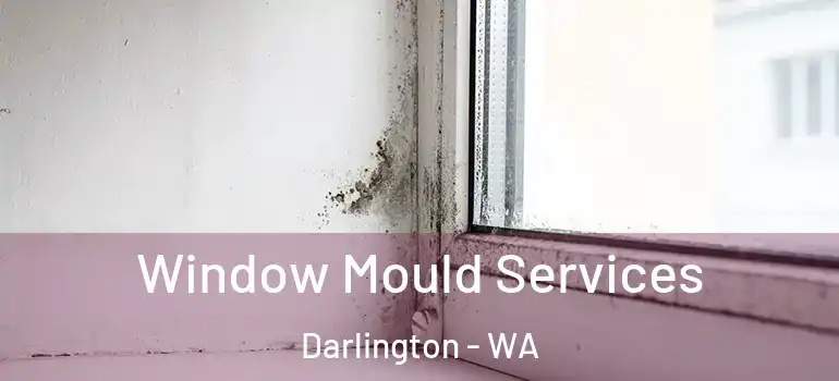  Window Mould Services Darlington - WA