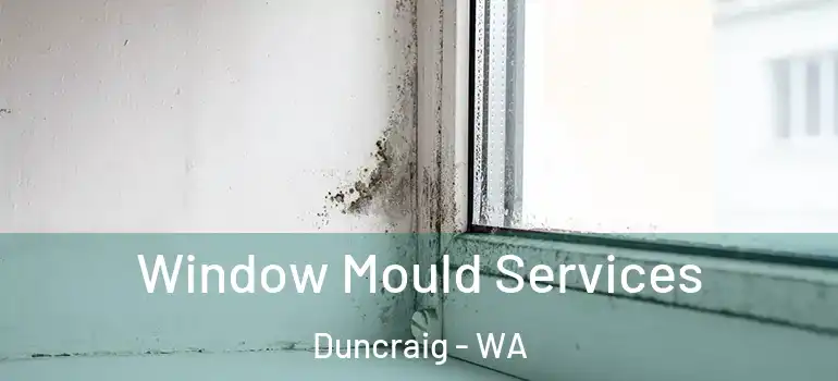 Window Mould Services Duncraig - WA