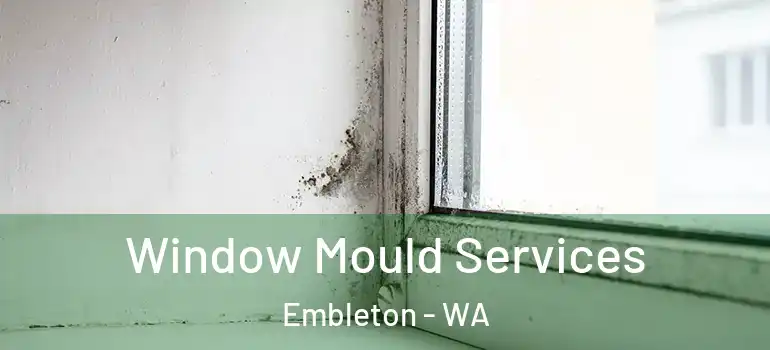  Window Mould Services Embleton - WA