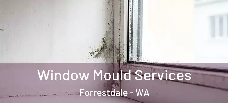  Window Mould Services Forrestdale - WA