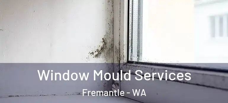  Window Mould Services Fremantle - WA