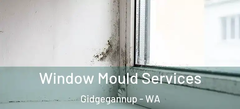  Window Mould Services Gidgegannup - WA