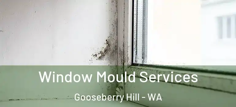  Window Mould Services Gooseberry Hill - WA