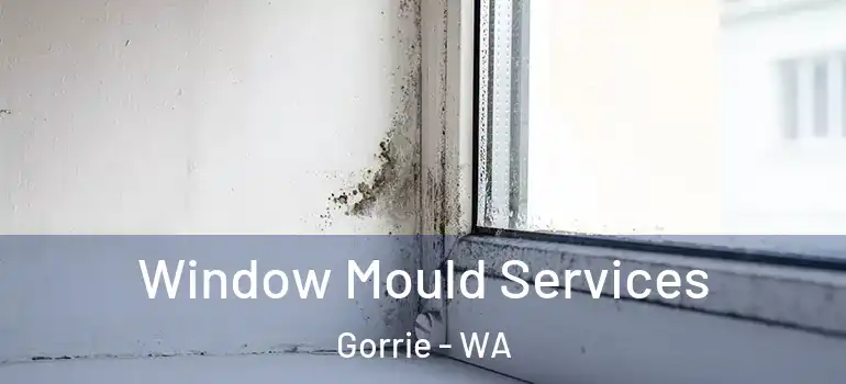  Window Mould Services Gorrie - WA