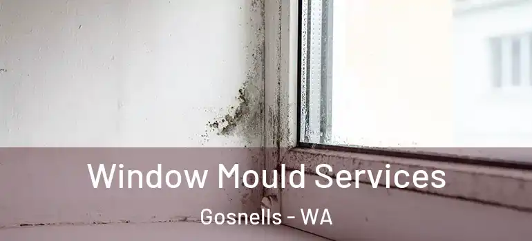  Window Mould Services Gosnells - WA