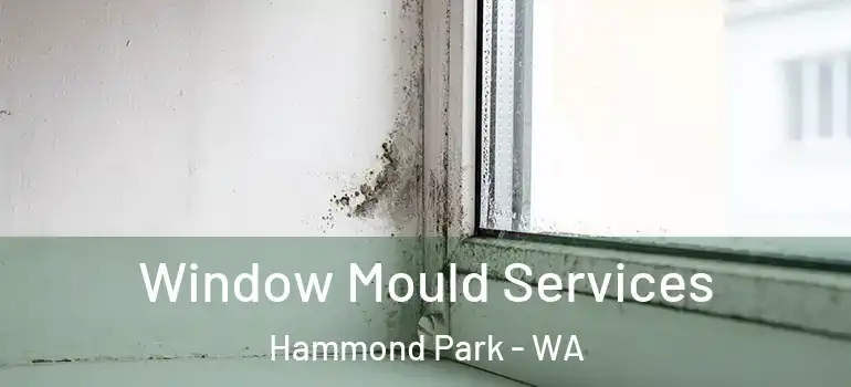 Window Mould Services Hammond Park - WA