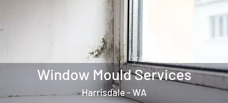  Window Mould Services Harrisdale - WA