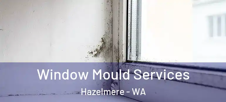 Window Mould Services Hazelmere - WA