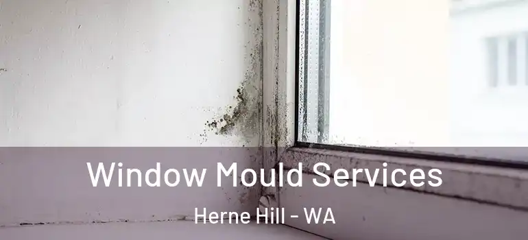 Window Mould Services Herne Hill - WA