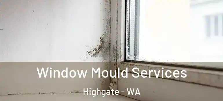  Window Mould Services Highgate - WA