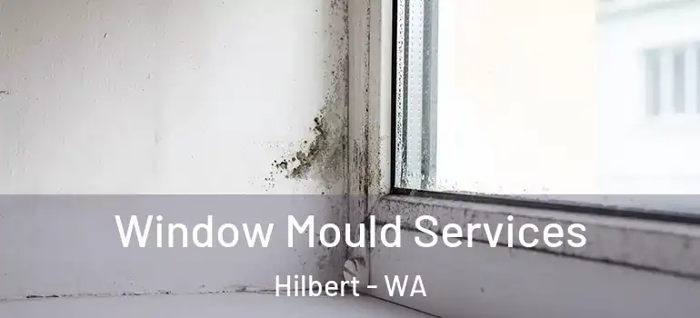 Window Mould Services Hilbert - WA