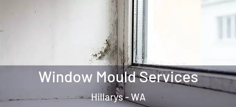  Window Mould Services Hillarys - WA
