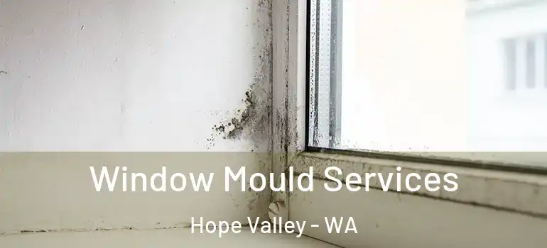  Window Mould Services Hope Valley - WA