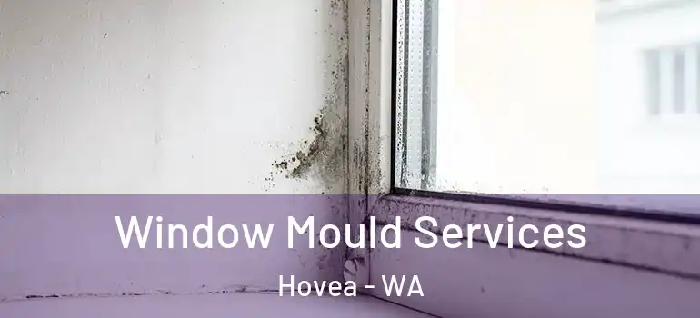 Window Mould Services Hovea - WA