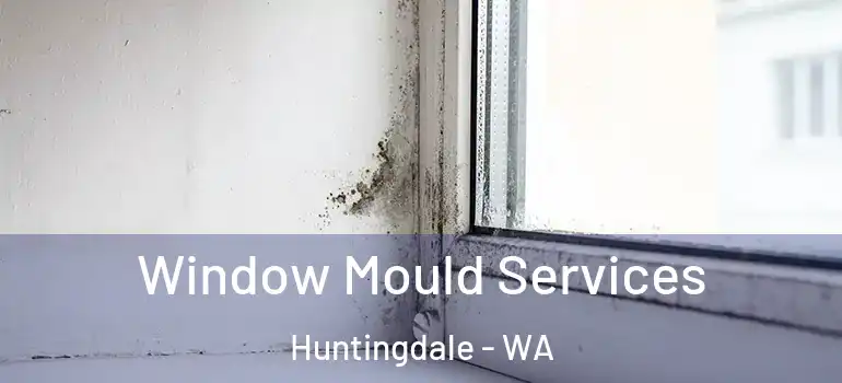  Window Mould Services Huntingdale - WA