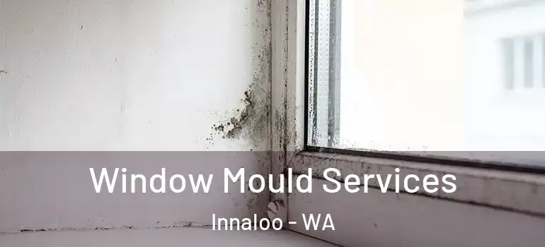 Window Mould Services Innaloo - WA