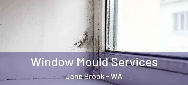Window Mould Services Jane Brook - WA