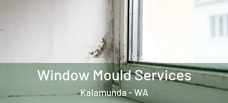 Window Mould Services Kalamunda - WA