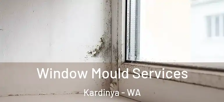  Window Mould Services Kardinya - WA