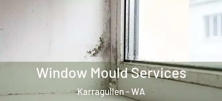  Window Mould Services Karragullen - WA