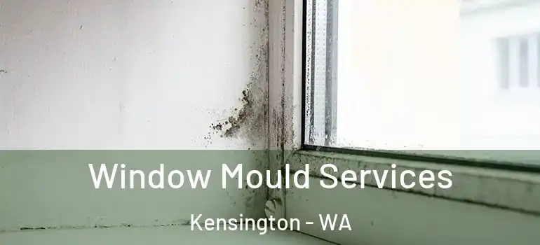  Window Mould Services Kensington - WA
