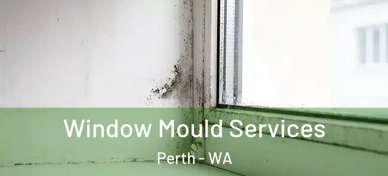 Window Mould Services Perth - WA