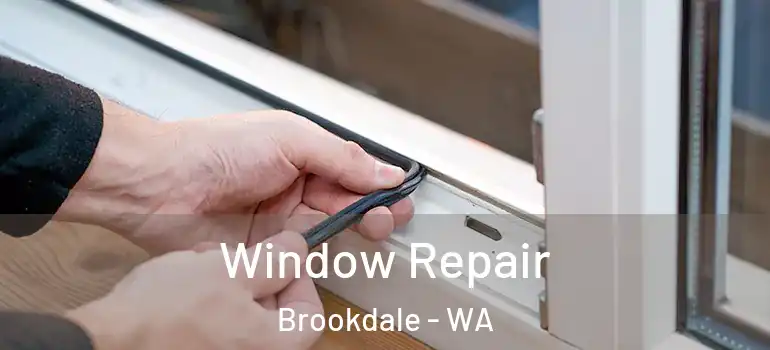 Window Repair Brookdale - WA
