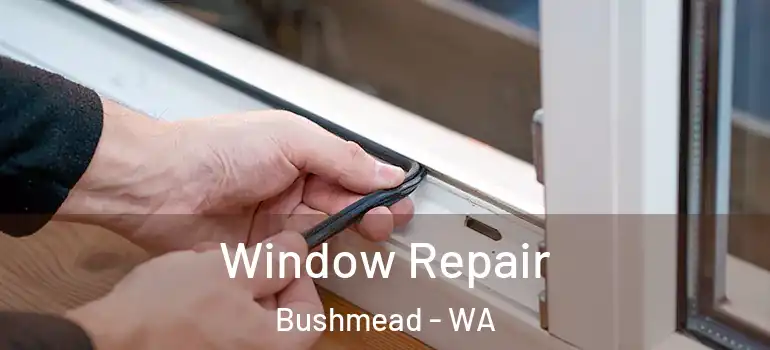  Window Repair Bushmead - WA