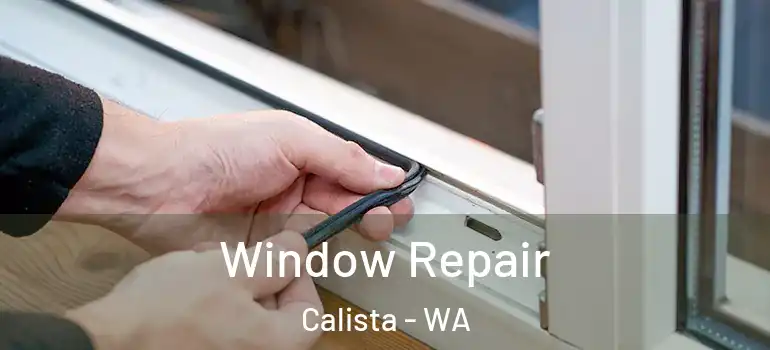 Window Repair Calista - WA