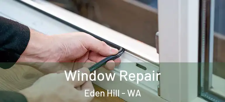 Window Repair Eden Hill - WA