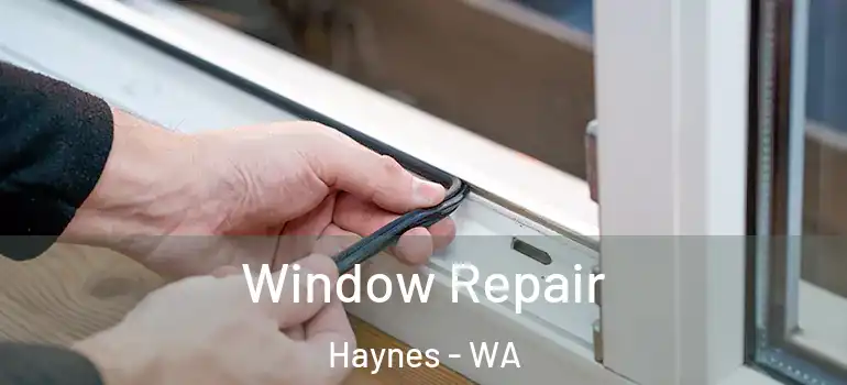 Window Repair Haynes - WA