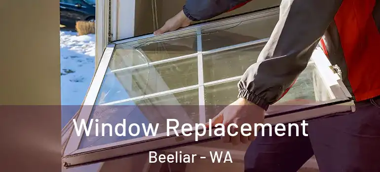  Window Replacement Beeliar - WA