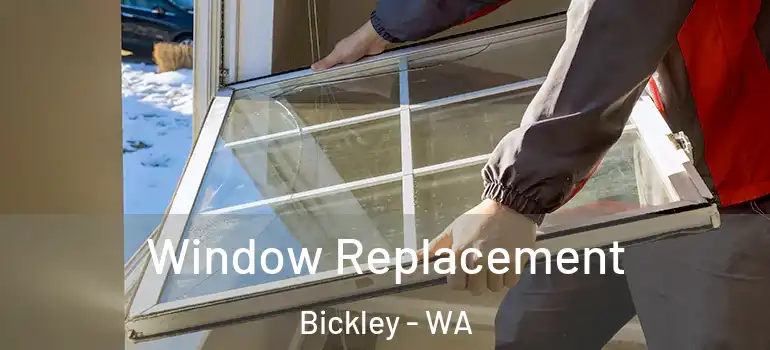 Window Replacement Bickley - WA