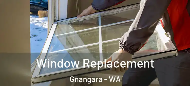 Window Replacement Gnangara - WA