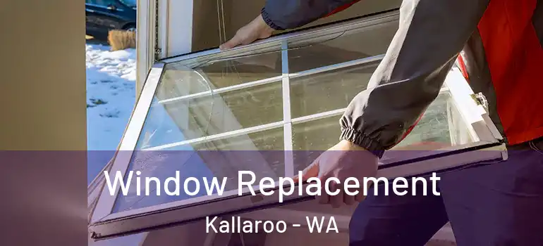 Window Replacement Kallaroo - WA