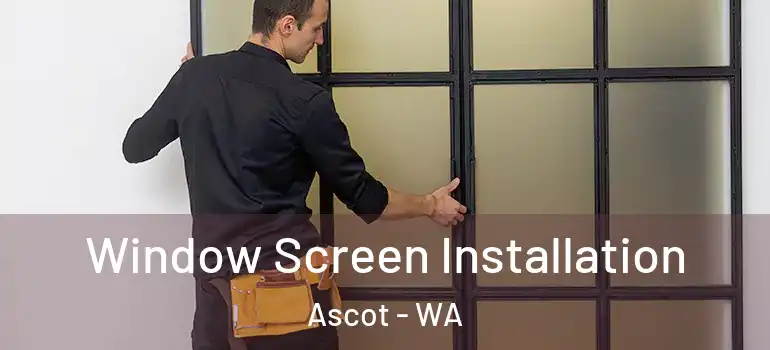 Window Screen Installation Ascot - WA