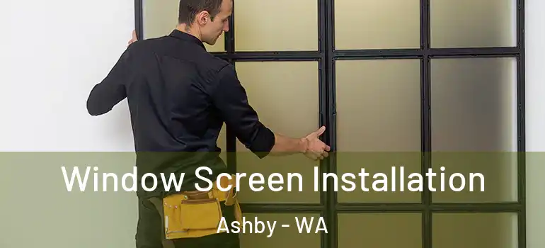 Window Screen Installation Ashby - WA