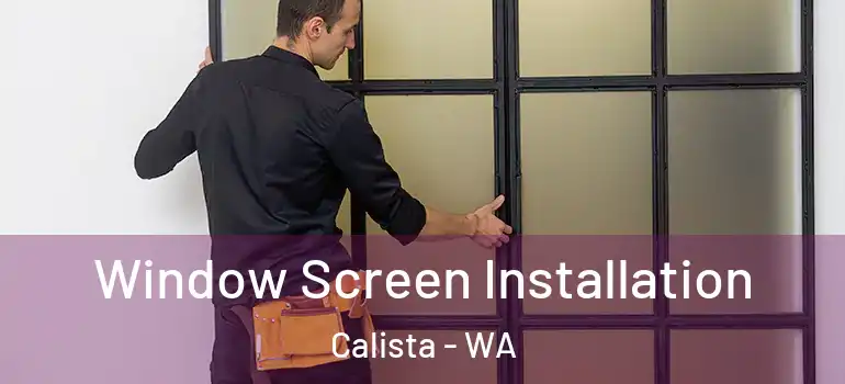 Window Screen Installation Calista - WA