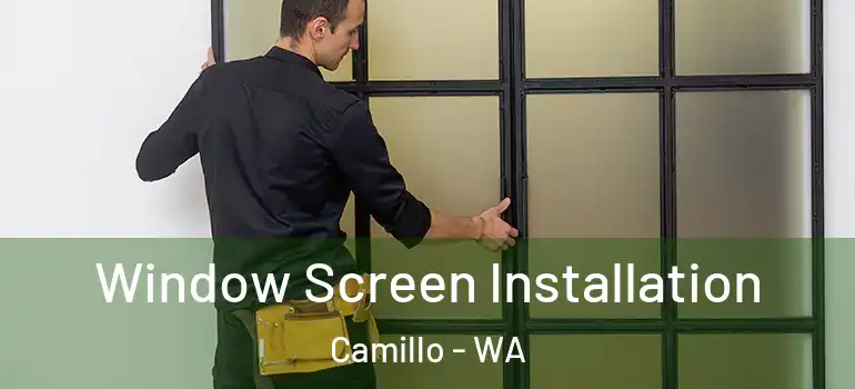 Window Screen Installation Camillo - WA