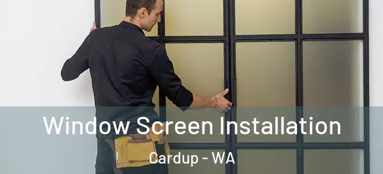  Window Screen Installation Cardup - WA