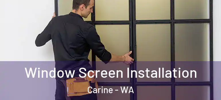 Window Screen Installation Carine - WA