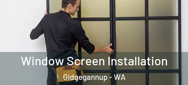Window Screen Installation Gidgegannup - WA