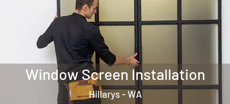Window Screen Installation Hillarys - WA