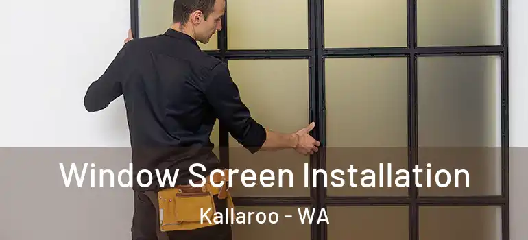 Window Screen Installation Kallaroo - WA