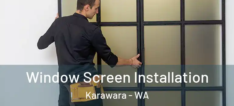 Window Screen Installation Karawara - WA