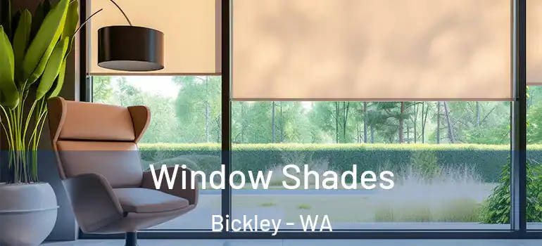 Window Shades Bickley - WA